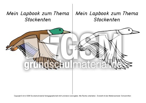 Titelseite-Stockente-2.pdf
